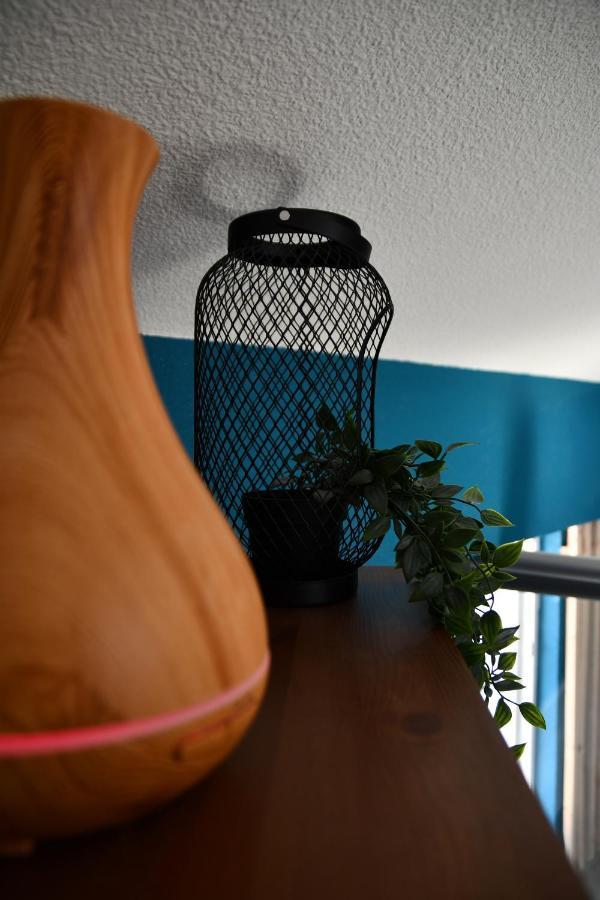 Appartement "Sacha" Au Calme En Hypercentre De Revel 勒韦 外观 照片