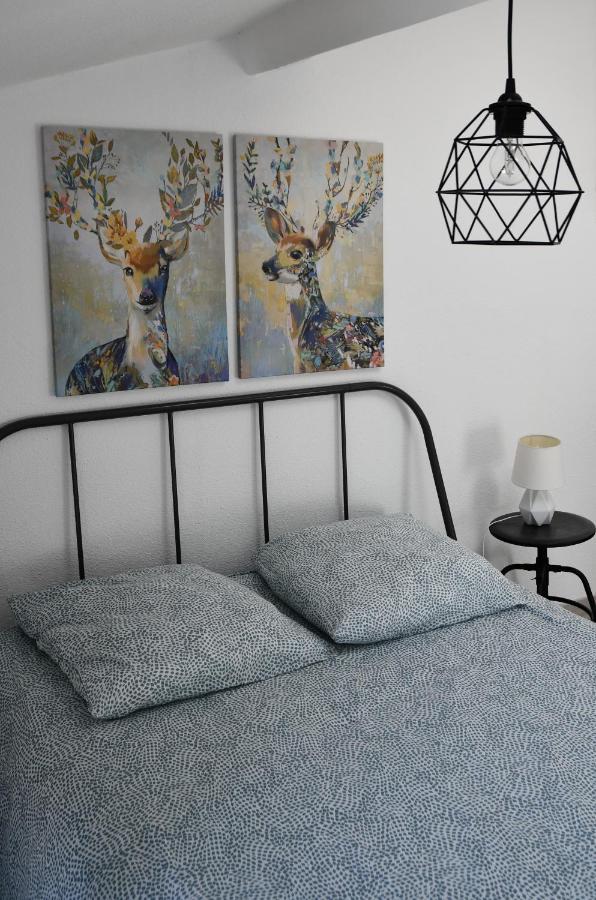 Appartement "Sacha" Au Calme En Hypercentre De Revel 勒韦 外观 照片